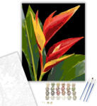 Vibráló Heliconia Virág - számfestő készlet - 40×50 cm (Keretre feszítve)