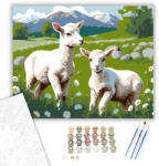  Báránykák Napfényes Réten - számfestő készlet - 40×50 cm (Keretre feszítve)