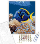 Számfestő Kék Tang Hal a Korallok Között - számfestő készlet - 40×50 cm (Keretre feszítve) (crea6045-40X50-KF)