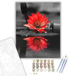  Piros tavirózsa - számfestő készlet - 40×50 cm (Keretre feszítve)