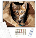  Kíváncsi Cirmos Kiscica Papírzacskóban - számfestő készlet - 40×50 cm (Keretre feszítve)