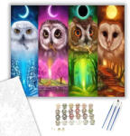 Számfestő Bölcs baglyok - számfestő készlet - 40×50 cm (Keretre feszítve) (crea490-40X50-KF)