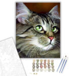  Zöld szemű cica - számfestő készlet - 40×50 cm (Keretre feszítve)
