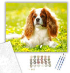  Spániel - számfestő készlet - 40×50 cm (Keretre feszítve)