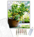  Citromfa - számfestő készlet - 40×50 cm (Keretre feszítve)