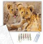  Játékos kisoroszlánok - számfestő készlet - 40×50 cm (Keretre feszítve)