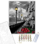  Rózsaszálak - számfestő készlet - 40×50 cm (Keretre feszítve)