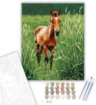  Kíváncsi Pej Csikó a Rétben - számfestő készlet - 40×50 cm (Keretre feszítve)