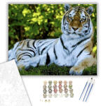  Fekvő tigris - számfestő készlet - 40×50 cm (Keretre feszítve)