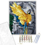 Számfestő Mérges papagáj - számfestő készlet - 40×50 cm (Keretre feszítve) (crea379-40X50-KF)