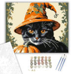 Számfestő Boszorkányos Halloweeni Macska - számfestő készlet - 40×50 cm (Keretre feszítve) (crea3042-40X50-KF)