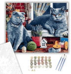 Számfestő Szürke macskák - számfestő készlet - 40×50 cm (Keretre feszítve) (crea581-40X50-KF)