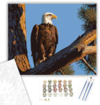 Számfestő Sas a Magas Fenyőn - számfestő készlet - 40×50 cm (Keretre feszítve) (crea6149-40X50-KF)
