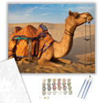 Számfestő Teve a Sivatagban - számfestő készlet - 40×50 cm (Keretre feszítve) (tarsi002-40X50-KF)