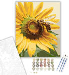 Számfestő Méh Napraforgón - számfestő készlet - 40×50 cm (Keretre feszítve) (crea6013-40X50-KF)