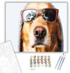 Számfestő Laza kutya - számfestő készlet - 40×50 cm (Keretre feszítve) (crea295-40X50-KF)