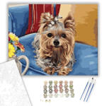  Kis yorki a széken - számfestő készlet - 40×50 cm (Keretre feszítve)