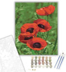  Vadvirág - számfestő készlet - 40×50 cm (Keretre feszítve)