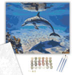 Számfestő Delfin az Óceán Mélyén - számfestő készlet - 40×50 cm (Keretre feszítve) (crea6166-40X50-KF)