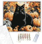  Fekete macska tökök között - számfestő készlet - 40×50 cm (Keretre feszítve)