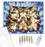Számfestő Alvó kiscicák - számfestő készlet - 40×50 cm (Keretre feszítve) (crea582-40X50-KF)