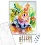 Számfestő Színes Nyuszi - húsvéti számfestő készlet - 40×50 cm (Keretre feszítve) (husvet23-40X50-KF)