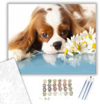  Unatkozó kiskutya - számfestő készlet - 40×50 cm (Keretre feszítve)