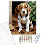 Beagle Kölyök a Kertben - számfestő készlet - 40×50 cm (Keretre feszítve)