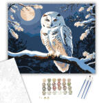  Éjjeli Bagoly Harmóniája - számfestő készlet - 40×50 cm (Keretre feszítve)