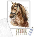 Csodálatos Ló - számfestő készlet - 40×50 cm (Keretre feszítve)