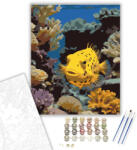 Számfestő Pöttyös Dobozhal a Korallzátonynál - számfestő készlet - 40×50 cm (Keretre feszítve) (crea6054-40X50-KF)