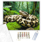 Számfestő Pihenő Boa a Trópusi Dzsungelben - számfestő készlet - 40×50 cm (Keretre feszítve) (crea6196-40X50-KF)