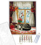  Cica szieszta - számfestő készlet - 50×60 cm (Keret nélkül)
