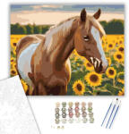  Palomino Ló Napraforgók Között - számfestő készlet - 40×50 cm (Keretre feszítve)