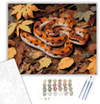 Számfestő Őszi Kígyó a Lombtakaróban - számfestő készlet - 40×50 cm (Keretre feszítve) (crea6197-40X50-KF)