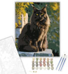  Fekete Maine Coon Kőfalon - számfestő készlet - 80×100 cm (Keretre feszítve)