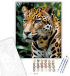 Jaguar a Dzsungelben - számfestő készlet - 40×50 cm (Keretre feszítve)