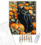  Fekete macska és tökök az őszi kertben - számfestő készlet - 40×50 cm (Keretre feszítve)