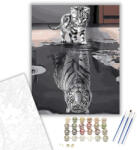  Tükörkép - számfestő készlet - 40×50 cm (Keretre feszítve)