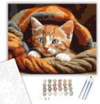  Vörös Kiscica Puha Takaróban - számfestő készlet - 40×50 cm (Keretre feszítve)