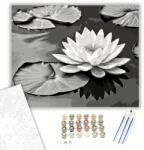 Számfestő Fehér Lótusz Nyugodt Víz Felszínén - számfestő készlet - 40×50 cm (Keretre feszítve) (crea6562-40X50-KF)