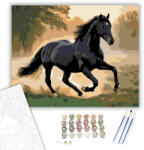  Fríz Ló a Ködös Mezőn - számfestő készlet - 40×50 cm (Keretre feszítve)