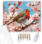  Vörösbegy a Virágzó Cseresznyefán - számfestő készlet - 40×50 cm (Keretre feszítve)