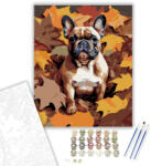  Francia Bulldog Őszi Levelek Között - számfestő készlet - 40×50 cm (Keretre feszítve)