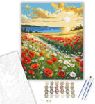  Pipacsmező és Vadvirágok a Tengerparton - számfestő készlet - 40×50 cm (Keretre feszítve)