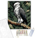  Harpia a Dzsungel Ágain - számfestő készlet - 40×50 cm (Keretre feszítve)