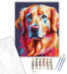  Neon Színű Arany Retriever - számfestő készlet - 40×50 cm (Keretre feszítve)