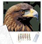  Aranysas Portré - számfestő készlet - 40×50 cm (Keretre feszítve)