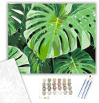  Monstera és Banánlevelek - számfestő készlet - 40×50 cm (Keretre feszítve)
