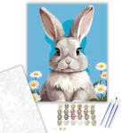 Számfestő Szürke Nyuszi - számfestő készlet - 40×50 cm (Keretre feszítve) (crea6393-40X50-KF)